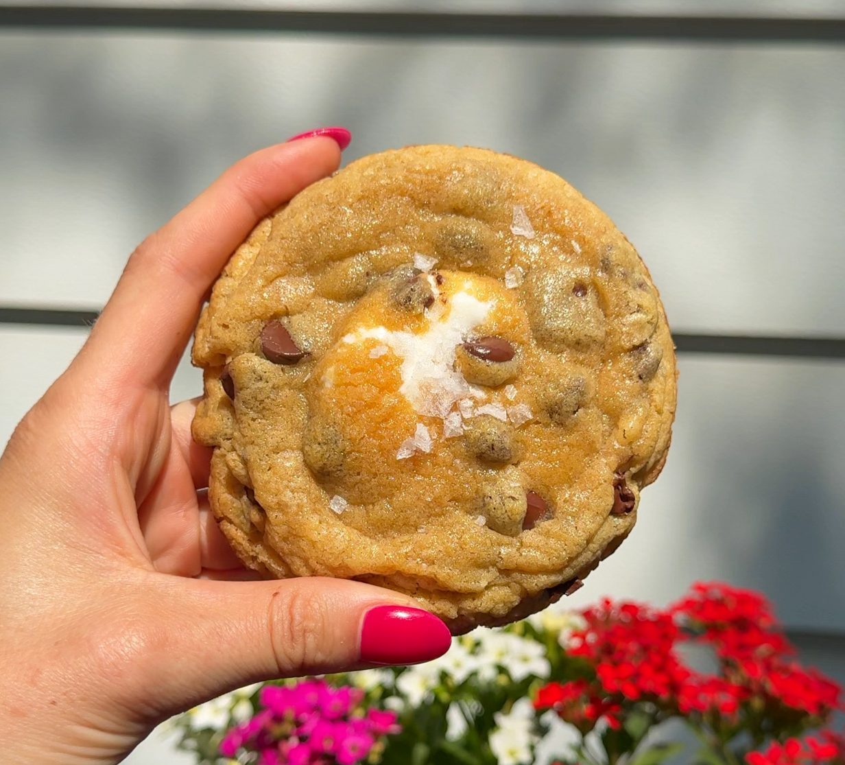 me holding my Single Serve S’mores Stuffed Chocolate Chip Cookies fresh out of the oven in the sun light by some flowers