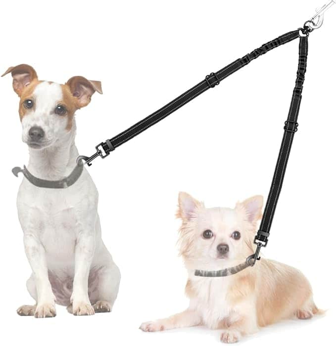 Double Dog Leash