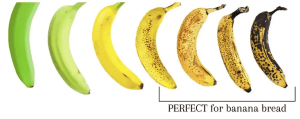 Banana ripeness scale