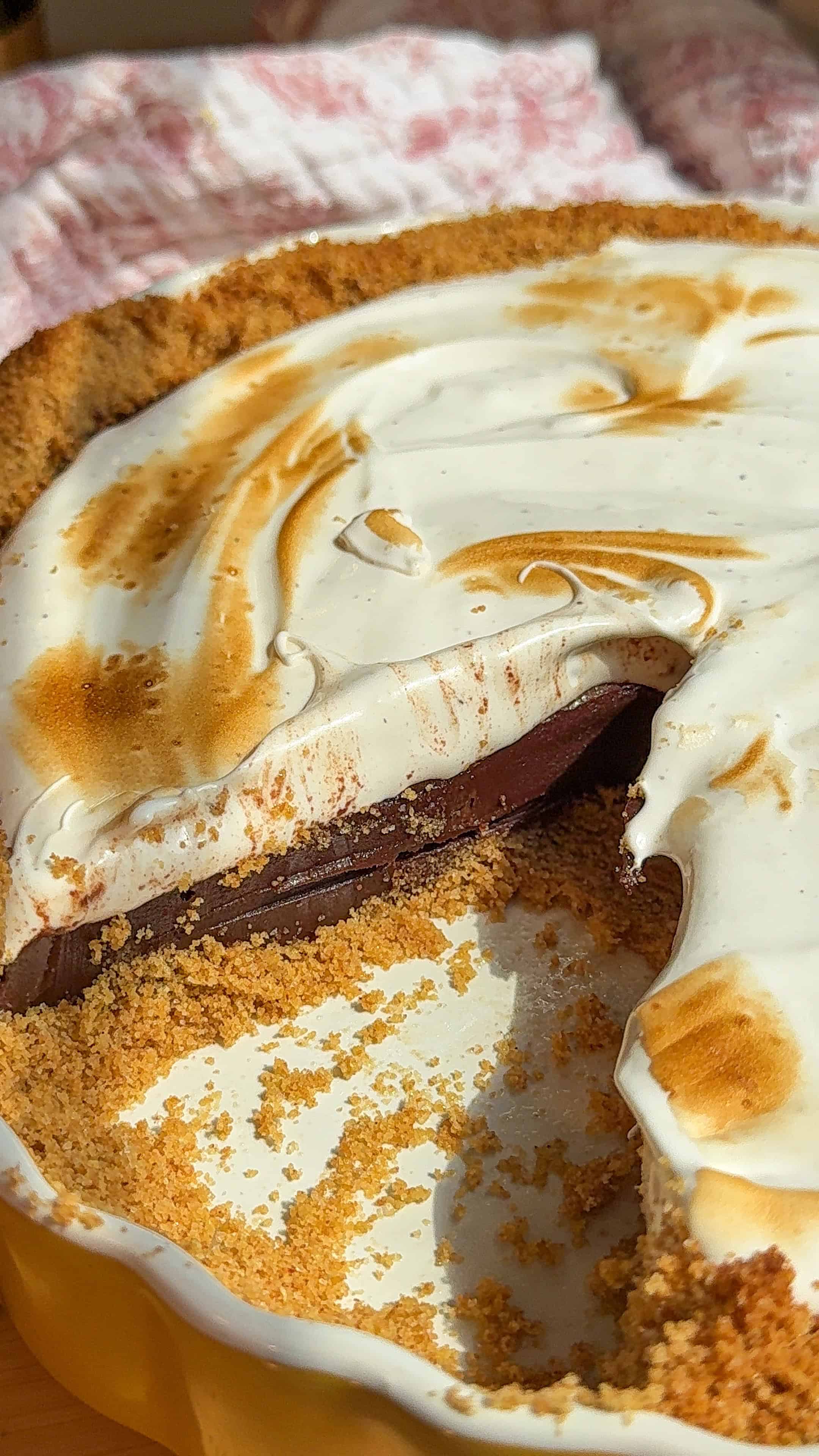 The BEST S’mores Tart (No Campfire Required!)