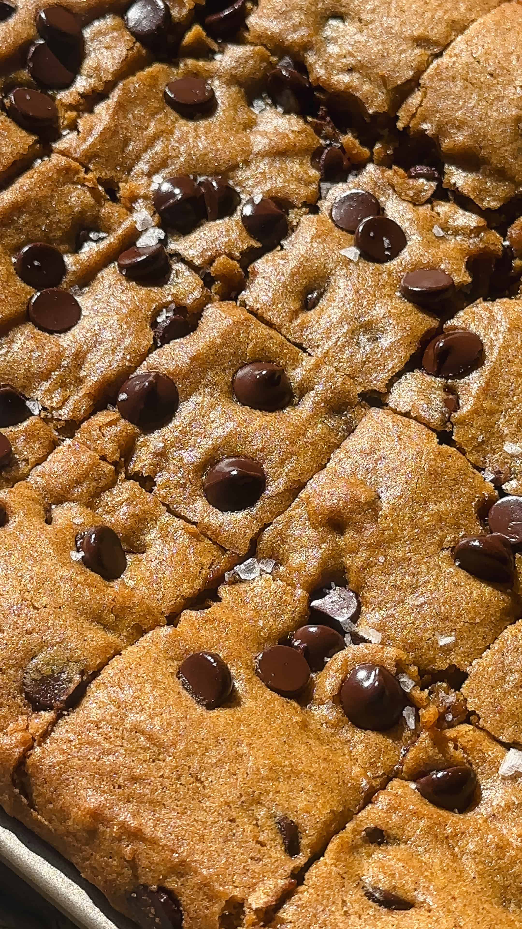 Brown Butter Pumpkin Chocolate Chip Sheet Pan Cookies Easy Fall Dessert for a Crowd